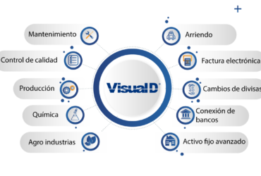 visual D